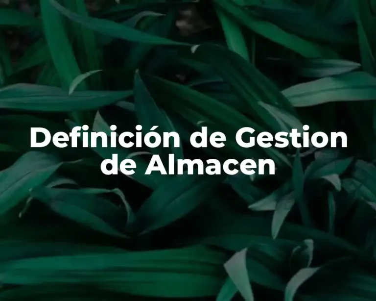 Definición de Gestion de Almacen