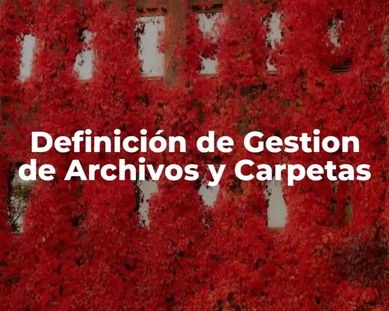 Definición de Gestion de Archivos y Carpetas