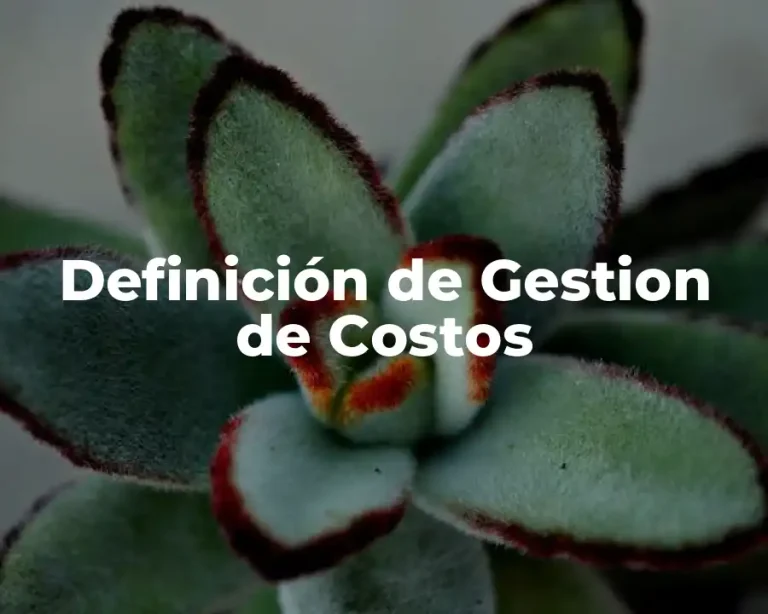 Definición de Gestion de Costos