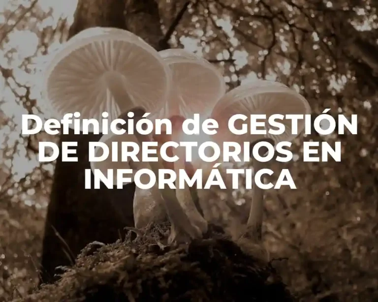 Definición de GESTIÓN DE DIRECTORIOS EN INFORMÁTICA