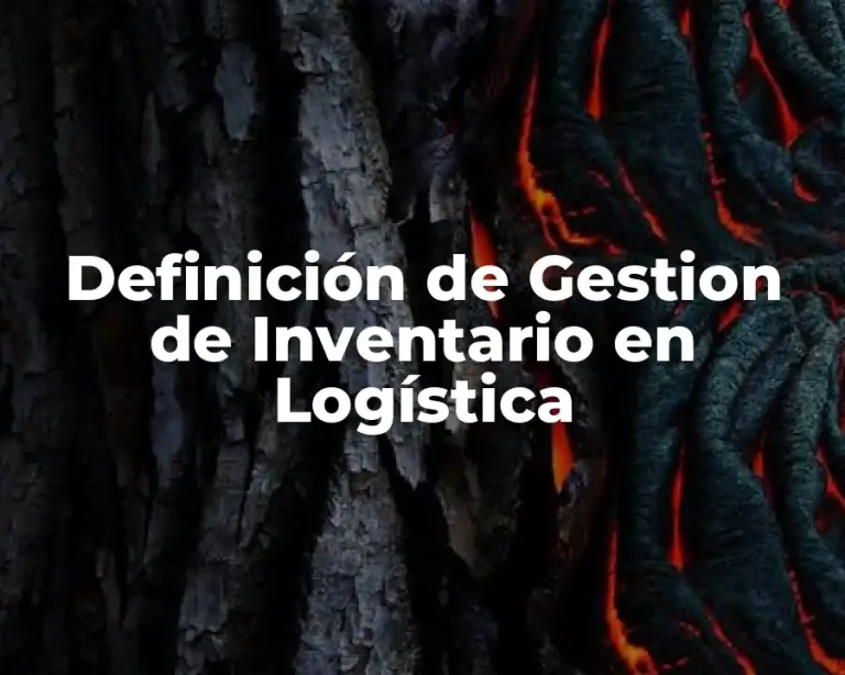 Definición de Gestion de Inventario en Logística