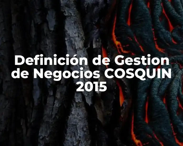 Definición de Gestion de Negocios COSQUIN 2015