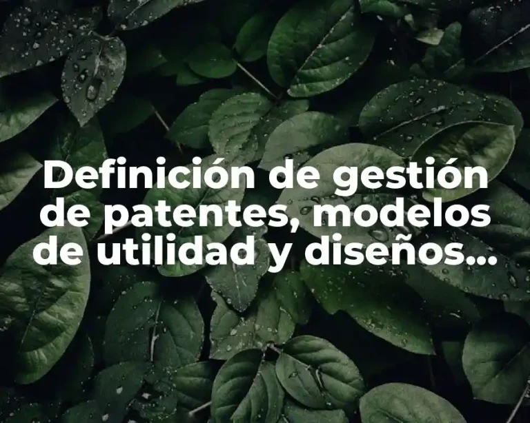 Definición de gestión de patentes, modelos de utilidad y diseños industriales