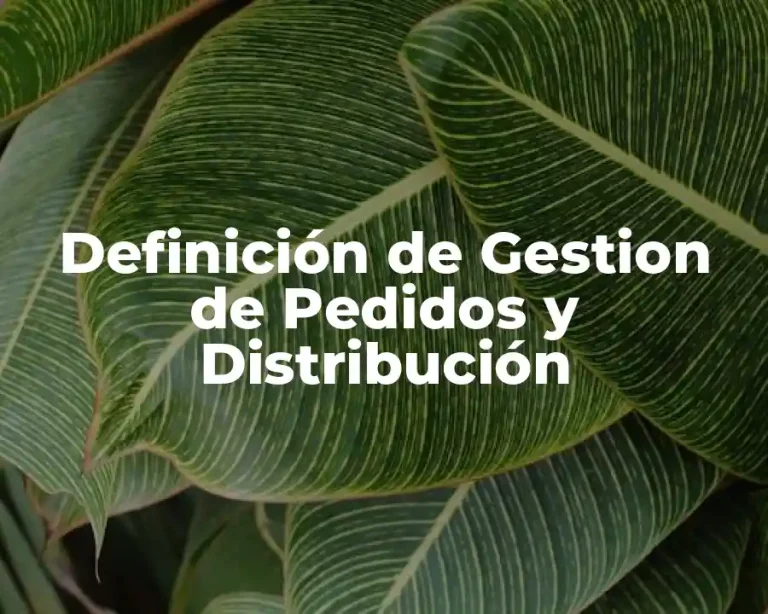 Definición de Gestion de Pedidos y Distribución