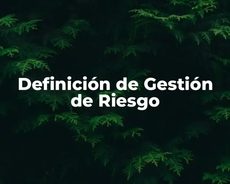 Definición de Gestión de Riesgo