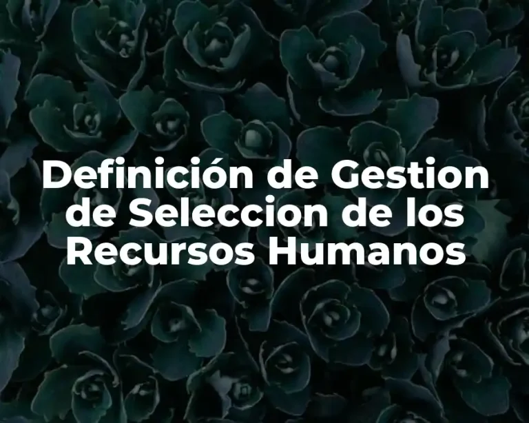 Definición de Gestion de Seleccion de los Recursos Humanos