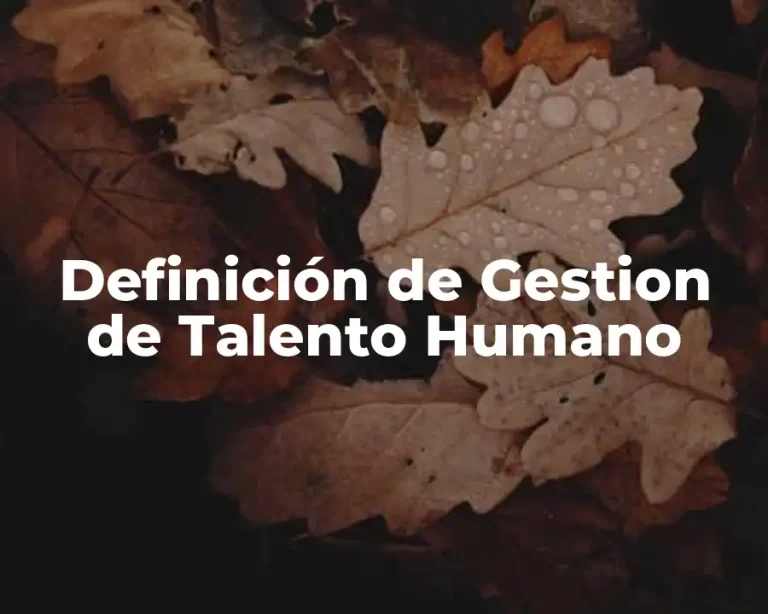 Definición de Gestion de Talento Humano