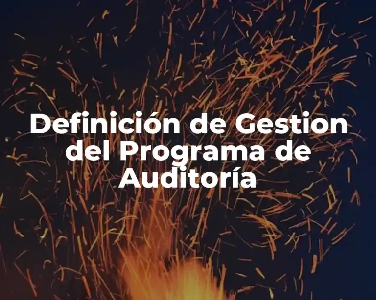 Definición de Gestion del Programa de Auditoría