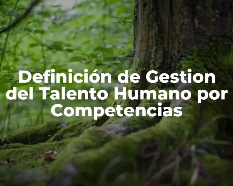 Definición de Gestion del Talento Humano por Competencias