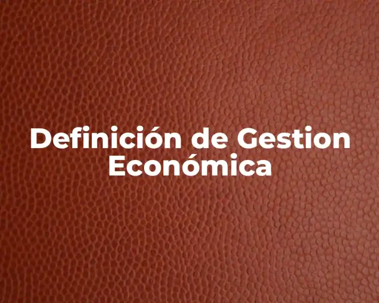 Definición de Gestion Económica