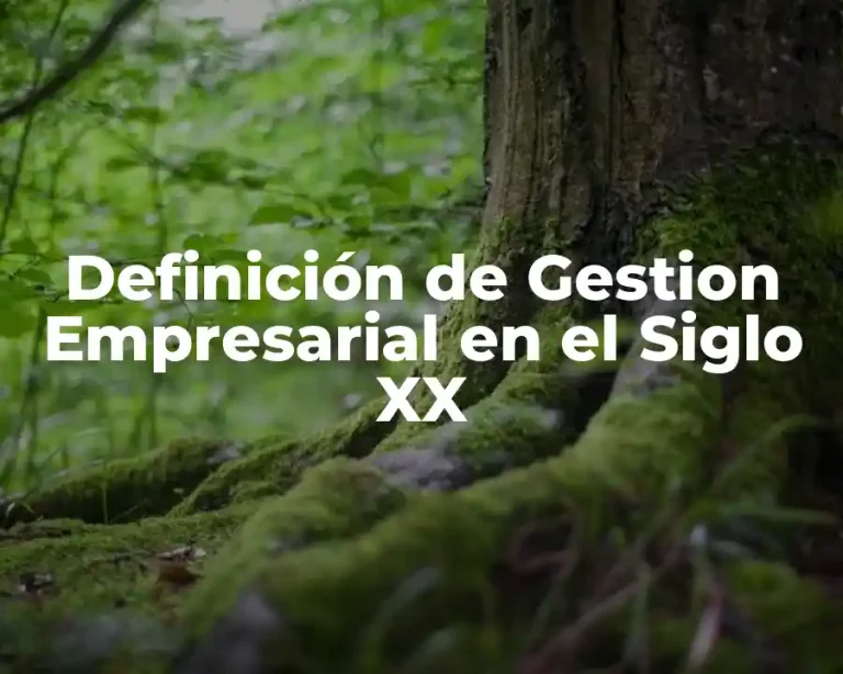 Definición de Gestion Empresarial en el Siglo XX