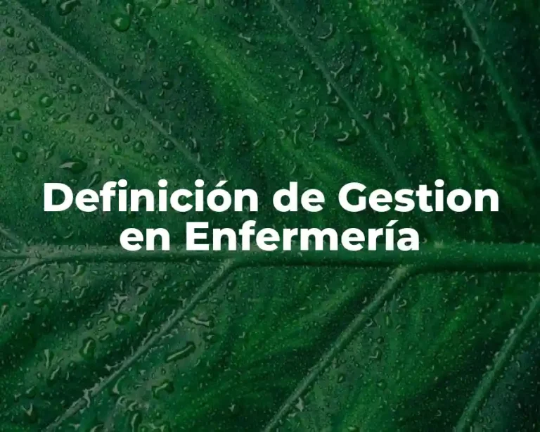 Definición de Gestion en Enfermería