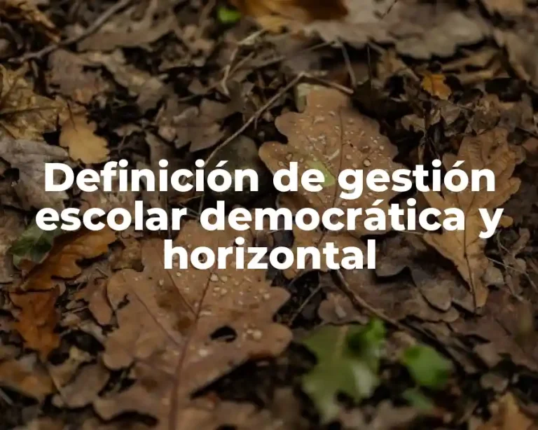 Definición de gestión escolar democrática y horizontal