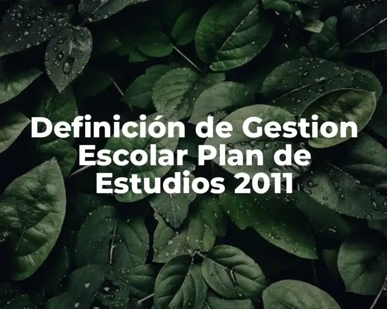 Definición de Gestion Escolar Plan de Estudios 2011