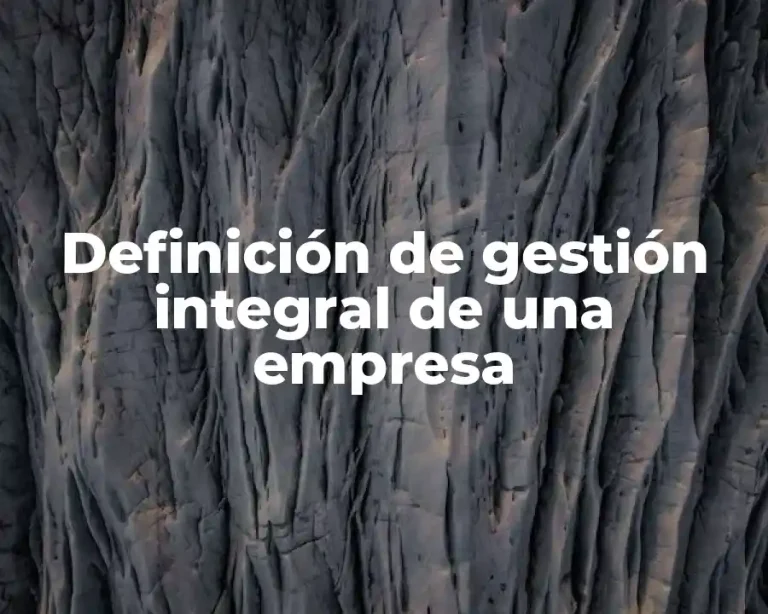 Definición de gestión integral de una empresa