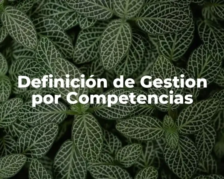 Definición de Gestion por Competencias