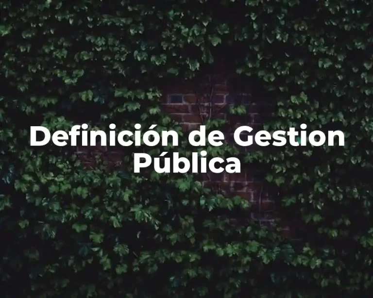 Definición de Gestion Pública