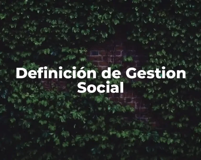 Definición de Gestion Social