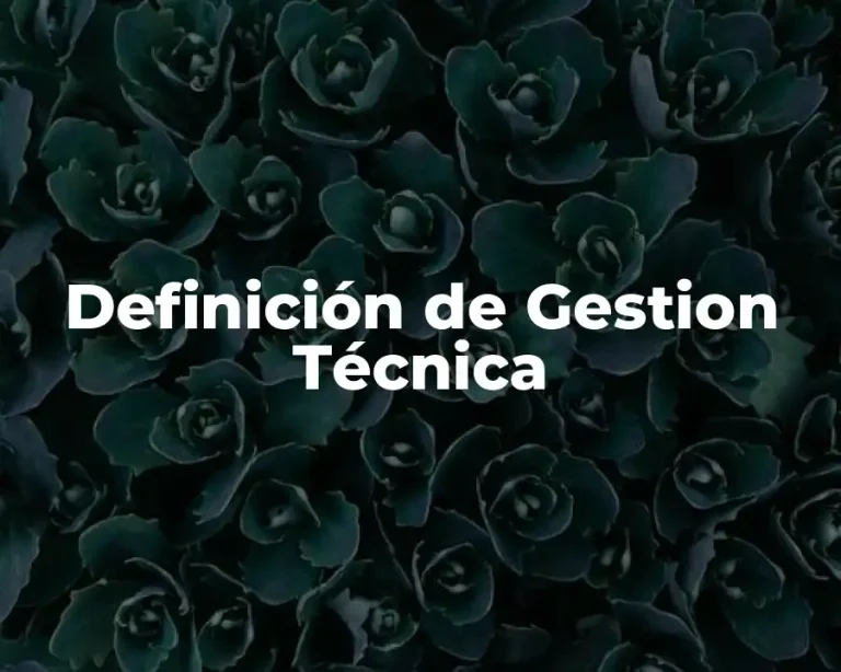 Definición de Gestion Técnica