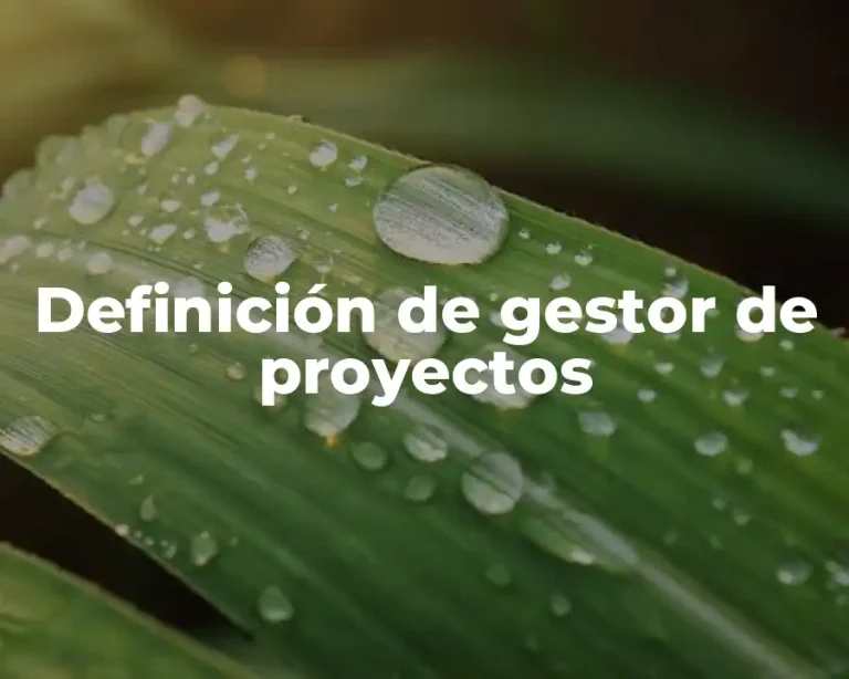 Definición de gestor de proyectos