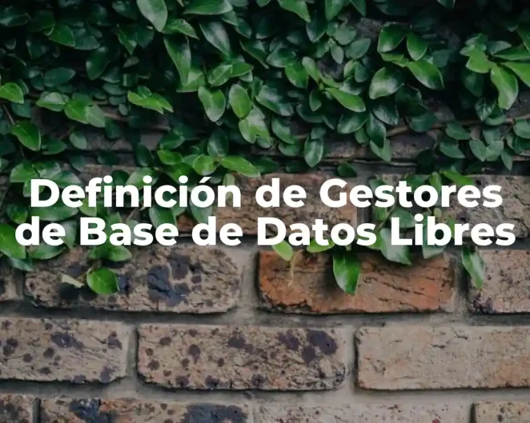 Definición de Gestores de Base de Datos Libres