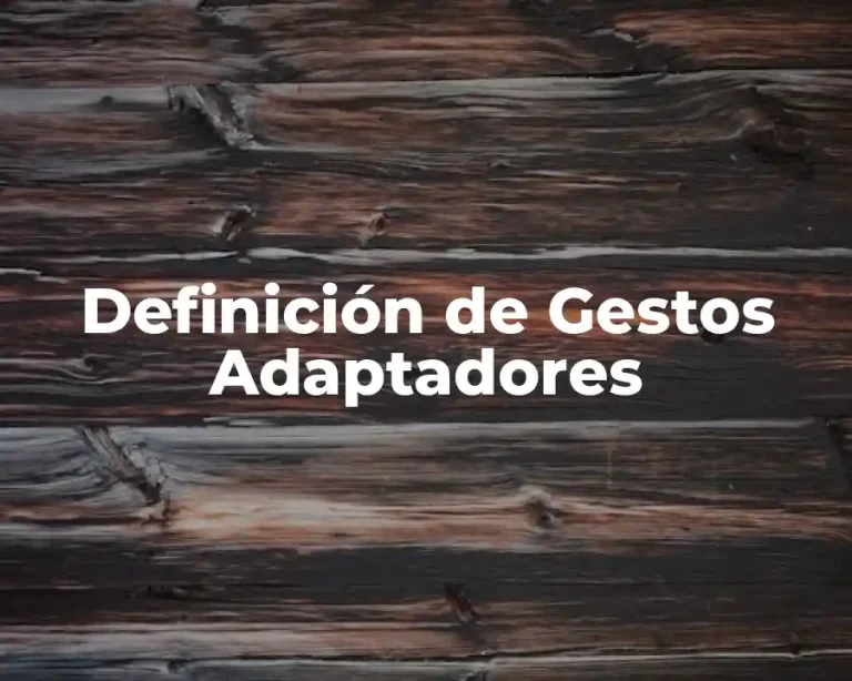 Definición de Gestos Adaptadores