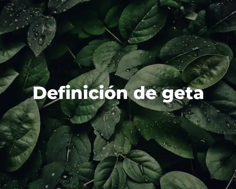 Definición de geta