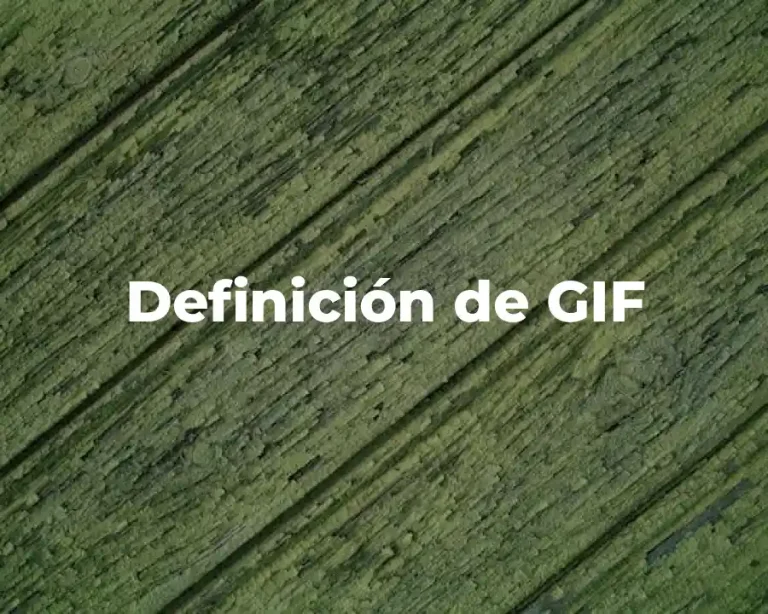 Definición de GIF