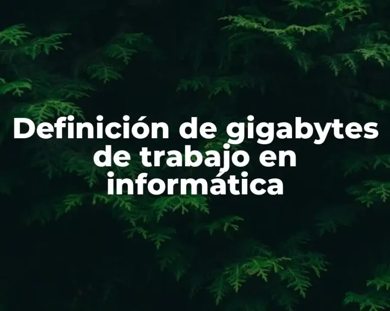 Definición de gigabytes de trabajo en informática