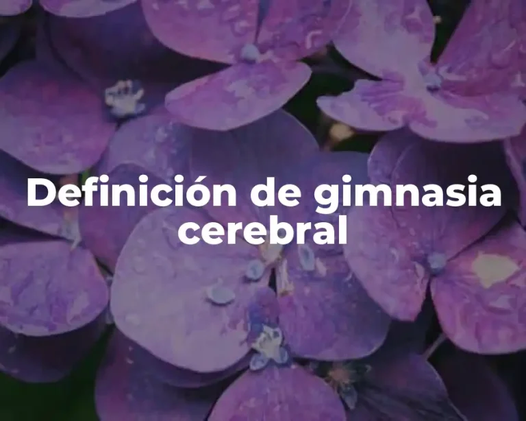 Definición de gimnasia cerebral