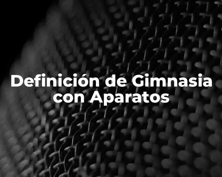 Definición de Gimnasia con Aparatos