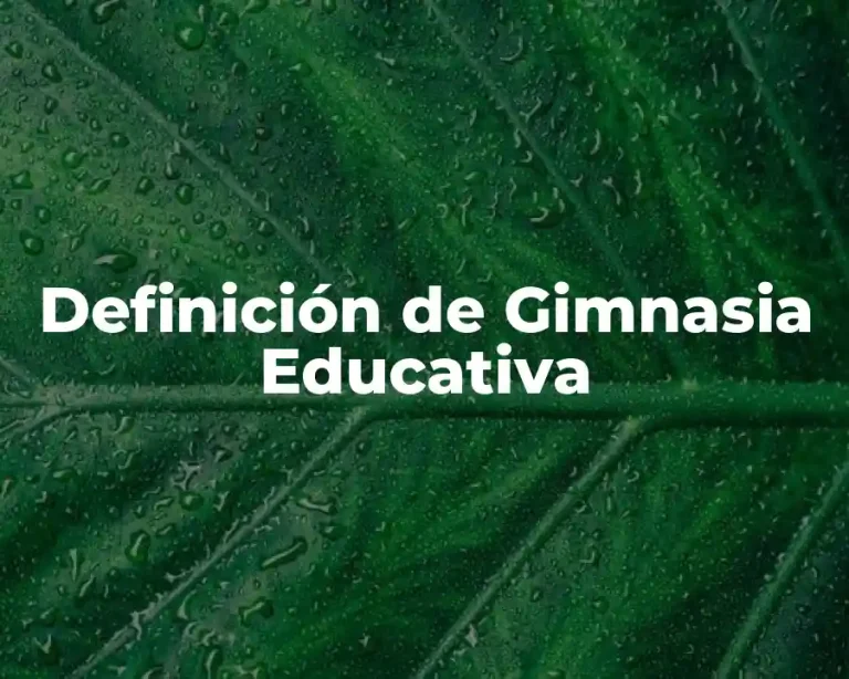 Definición de Gimnasia Educativa