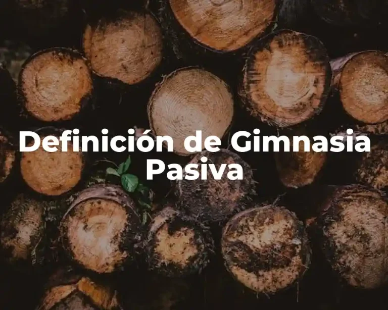 Definición de Gimnasia Pasiva