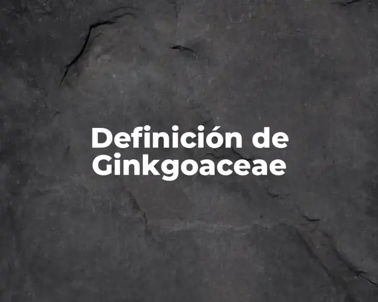 Definición de Ginkgoaceae