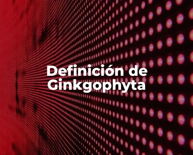 Definición de Ginkgophyta