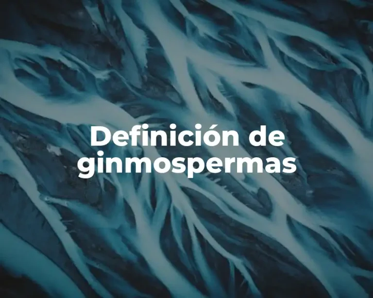 Definición de ginmospermas