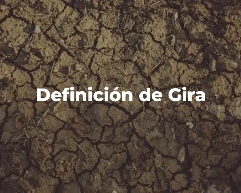 Definición de Gira