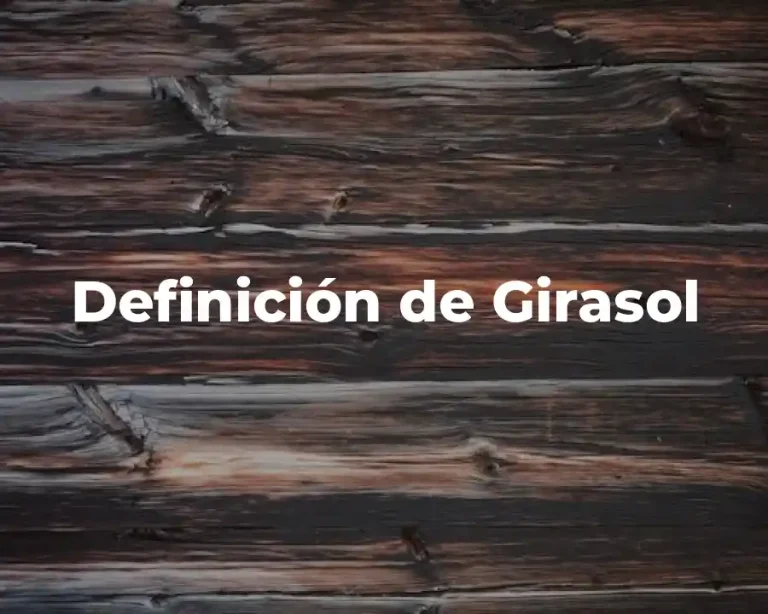 Definición de Girasol