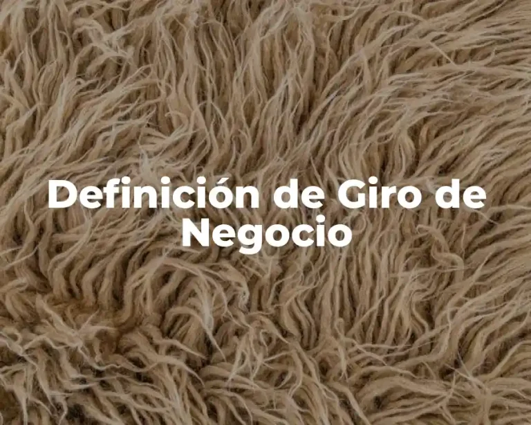 Definición de Giro de Negocio