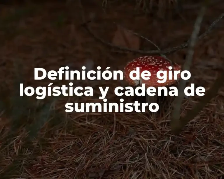Definición de giro logística y cadena de suministro