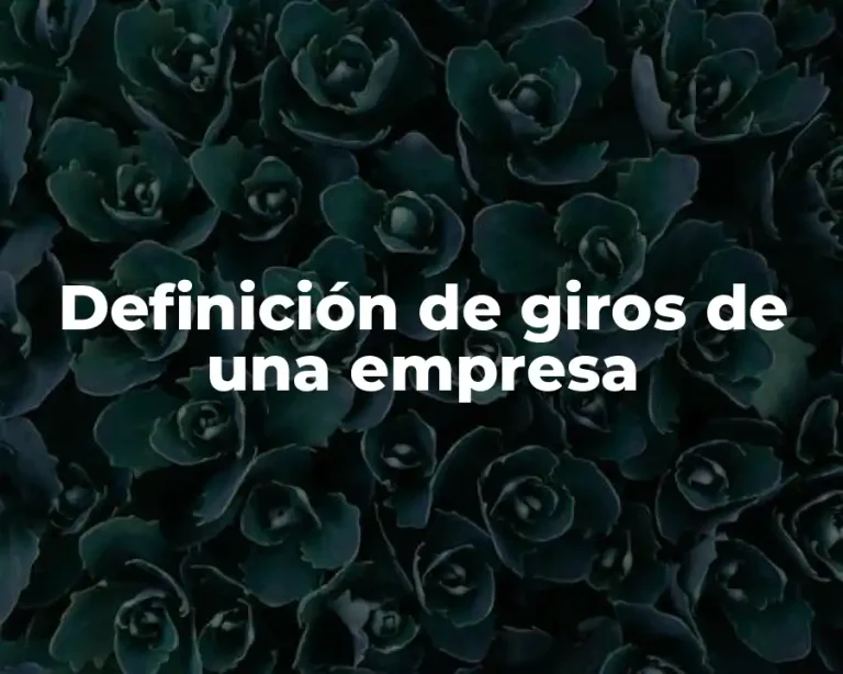 Definición de giros de una empresa
