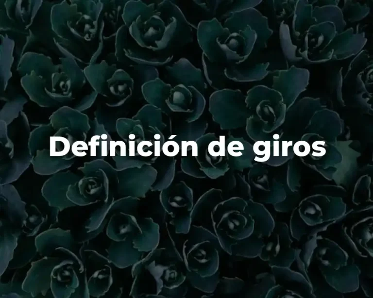 Definición de giros