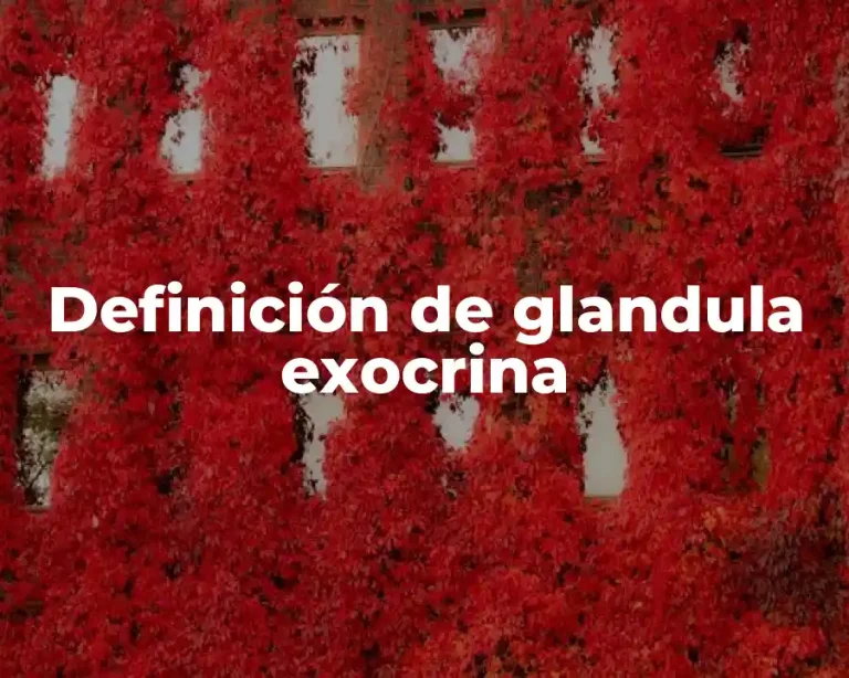 Definición de glandula exocrina