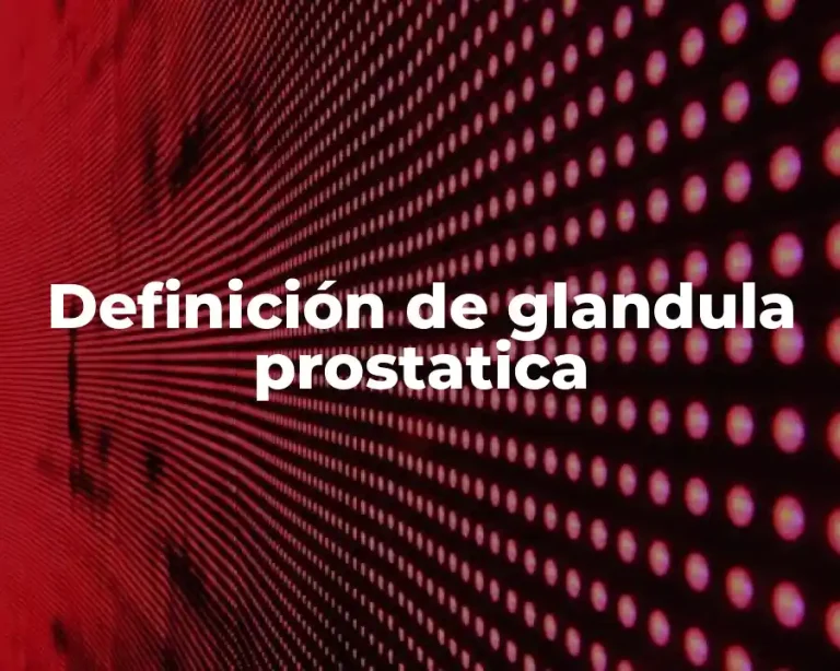 Definición de glandula prostatica