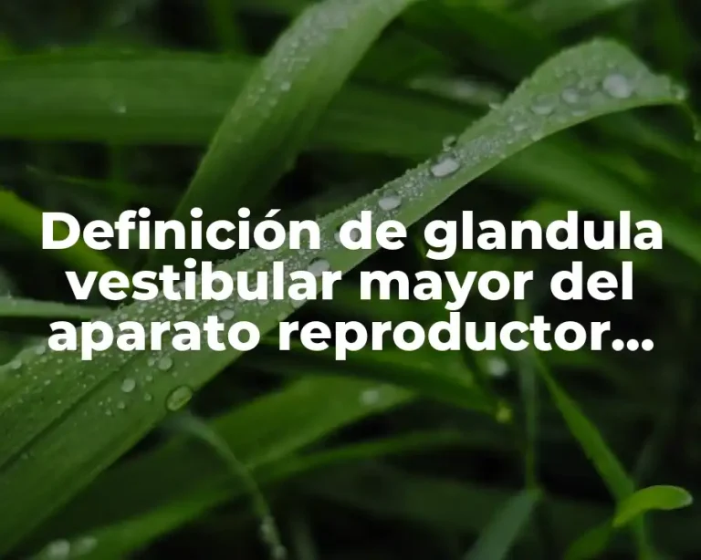 Definición de glandula vestibular mayor del aparato reproductor femenino