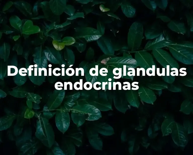 Definición de glandulas endocrinas