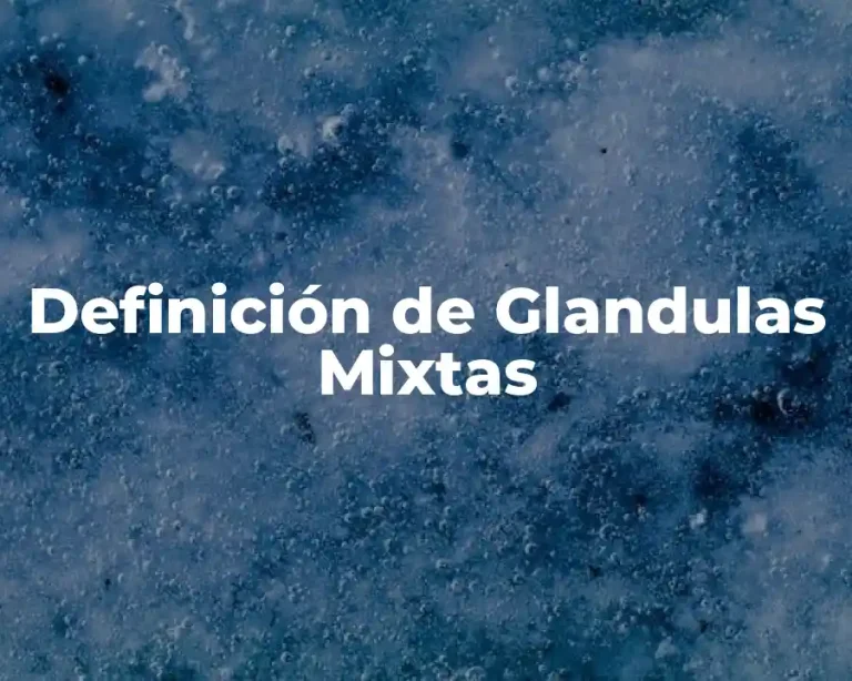 Definición de Glandulas Mixtas