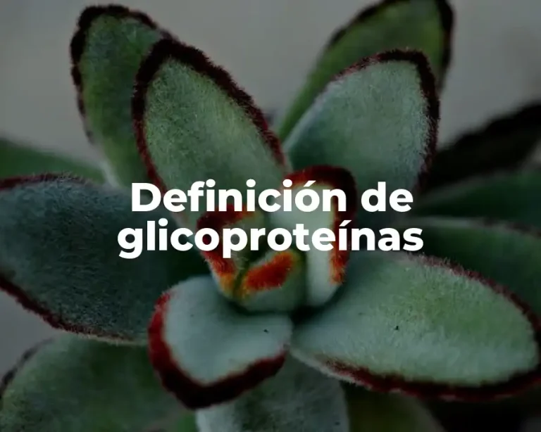 Definición de glicoproteínas