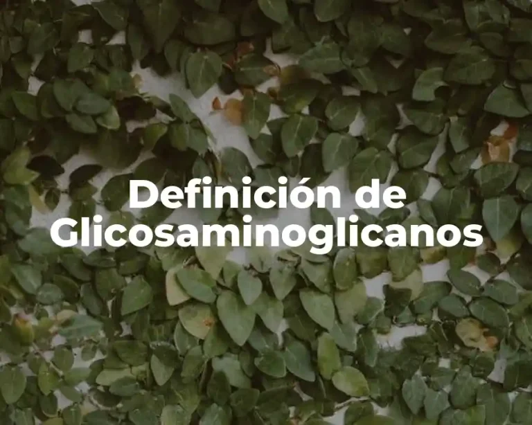 Definición de Glicosaminoglicanos