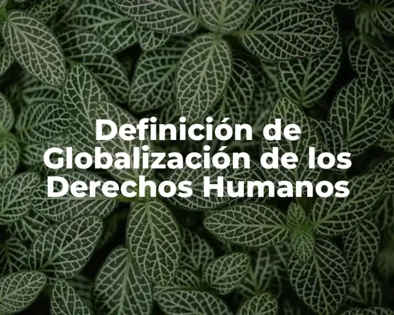 Definición de Globalización de los Derechos Humanos